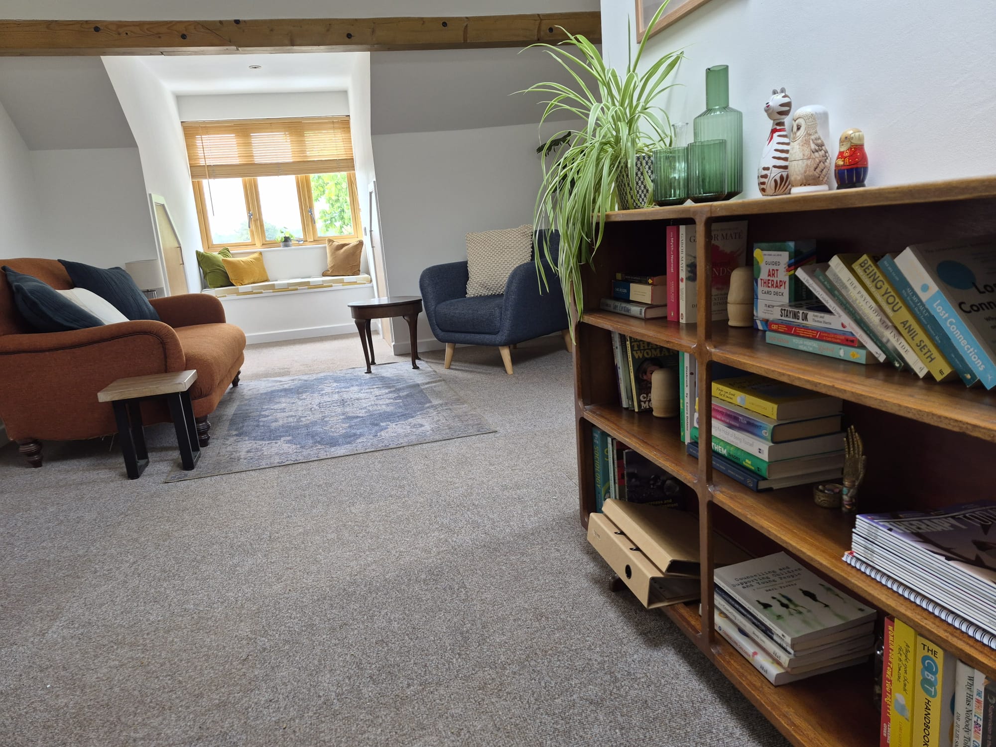 Light and spacious room Perspective shot of bookcase with therapy books and resources and seating area in the background